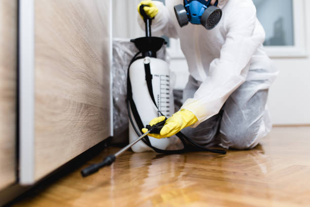 Best Pest Inspection Near Me  in West Peoria, IL
