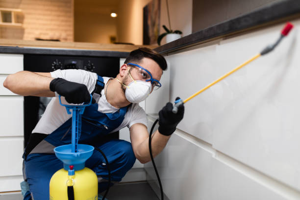 Best Local Pest Control Services  in West Peoria, IL