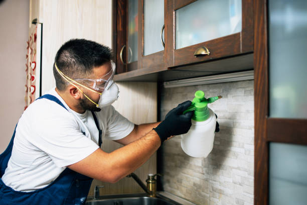 Reliable West Peoria, IL Pest Control Solutions