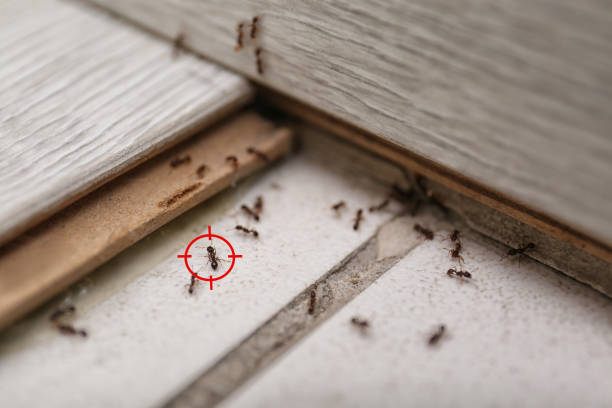 Best Pest Control for Restaurants  in West Peoria, IL