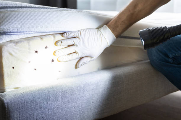 Best Mosquito Control Services  in West Peoria, IL