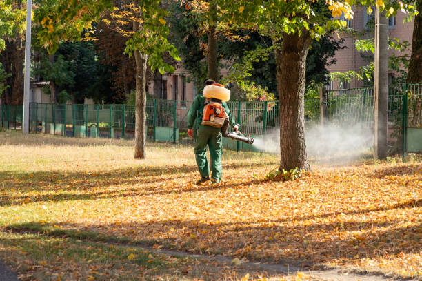 Best Bird Control  in West Peoria, IL