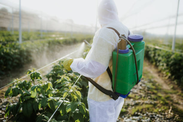 Best Best Pest Control Companies  in West Peoria, IL